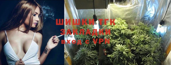 ECSTASY Абаза