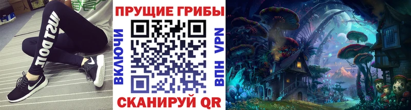 Псилоцибиновые грибы прущие грибы  Циолковский 